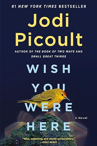 Wish You Were Here: A Novel