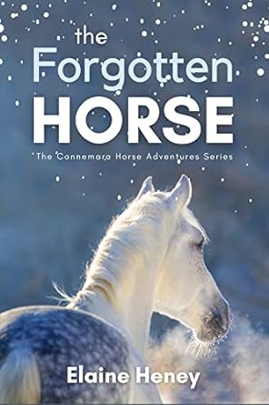 The Forgotten Horse - Book 1 in the Connemara Horse