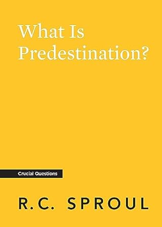 What Is Predestination? (Crucial Questions)